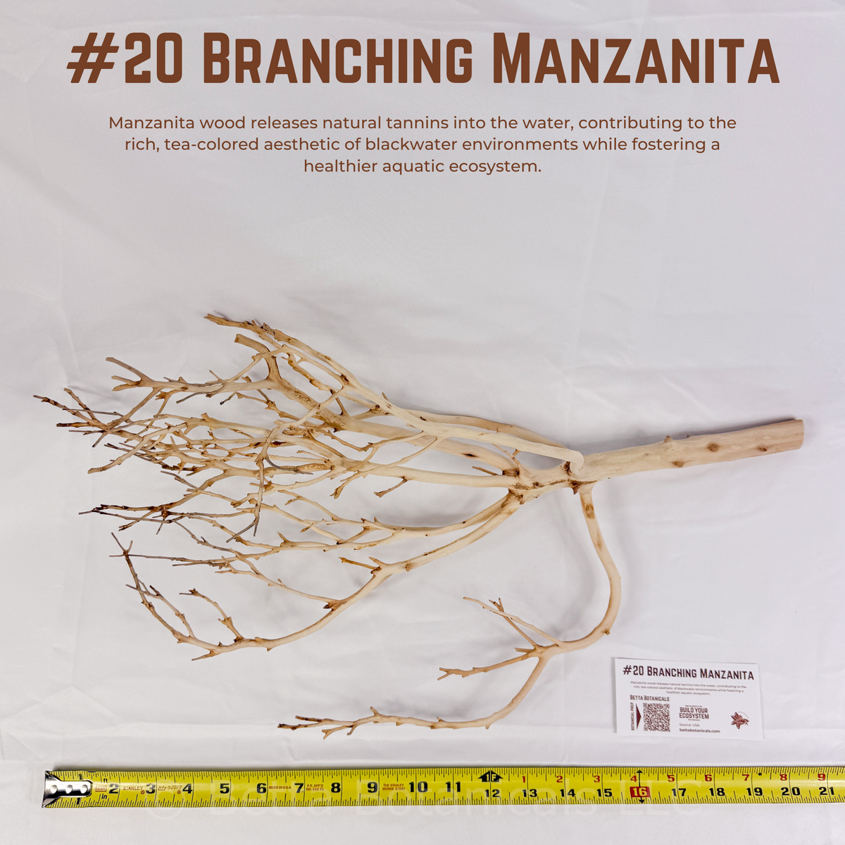 Branching Manzanita | WYSIWYG Pieces