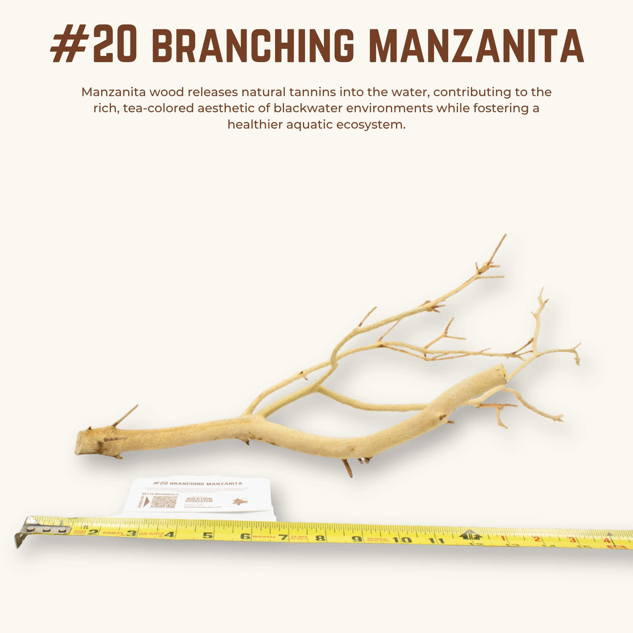 Branching Manzanita | WYSIWYG Pieces