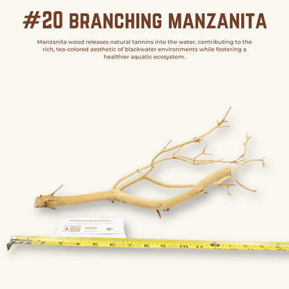 Branching Manzanita | WYSIWYG Pieces