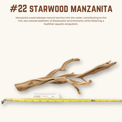 Starwood Manzanita | WYSIWYG Pieces