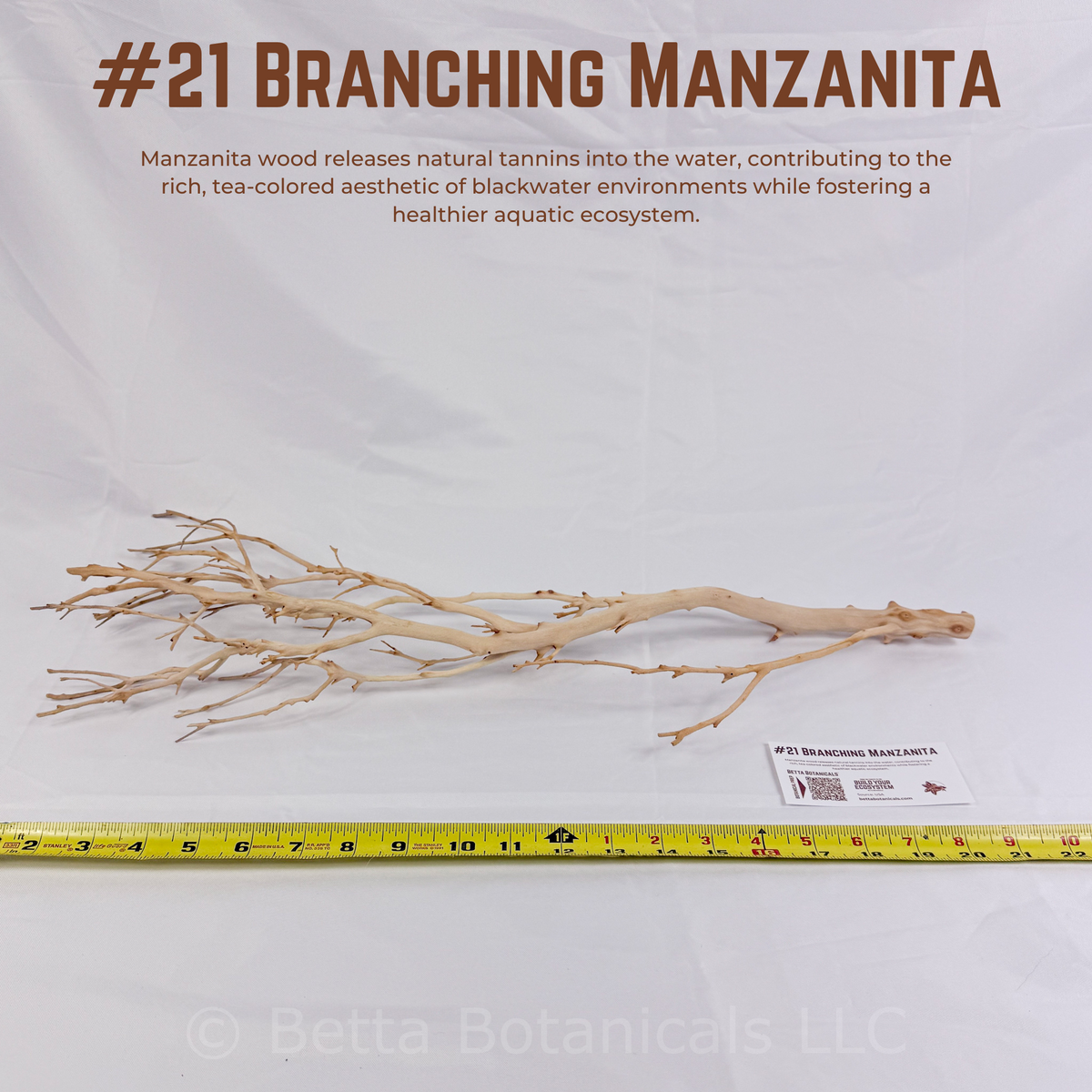 Branching Manzanita | WYSIWYG Pieces