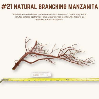 Natural Branching Manzanita | WYSIWYG Pieces