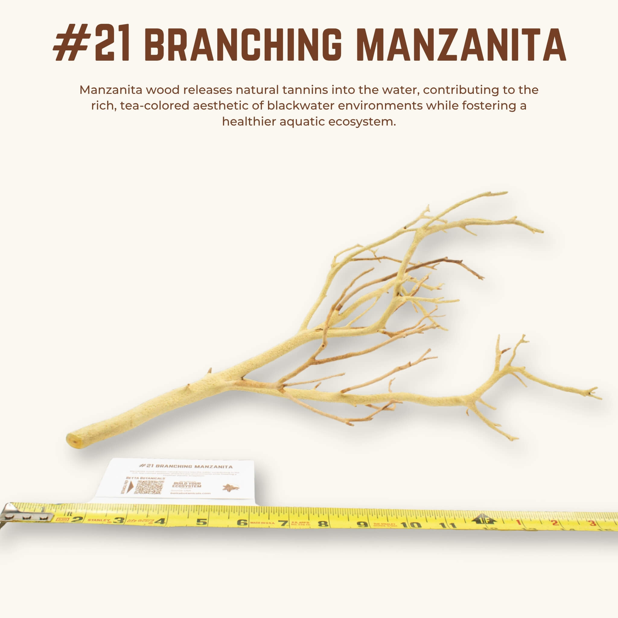 Branching Manzanita | WYSIWYG Pieces