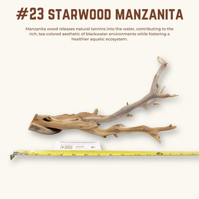 Starwood Manzanita | WYSIWYG Pieces