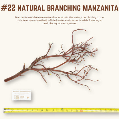 Natural Branching Manzanita | WYSIWYG Pieces