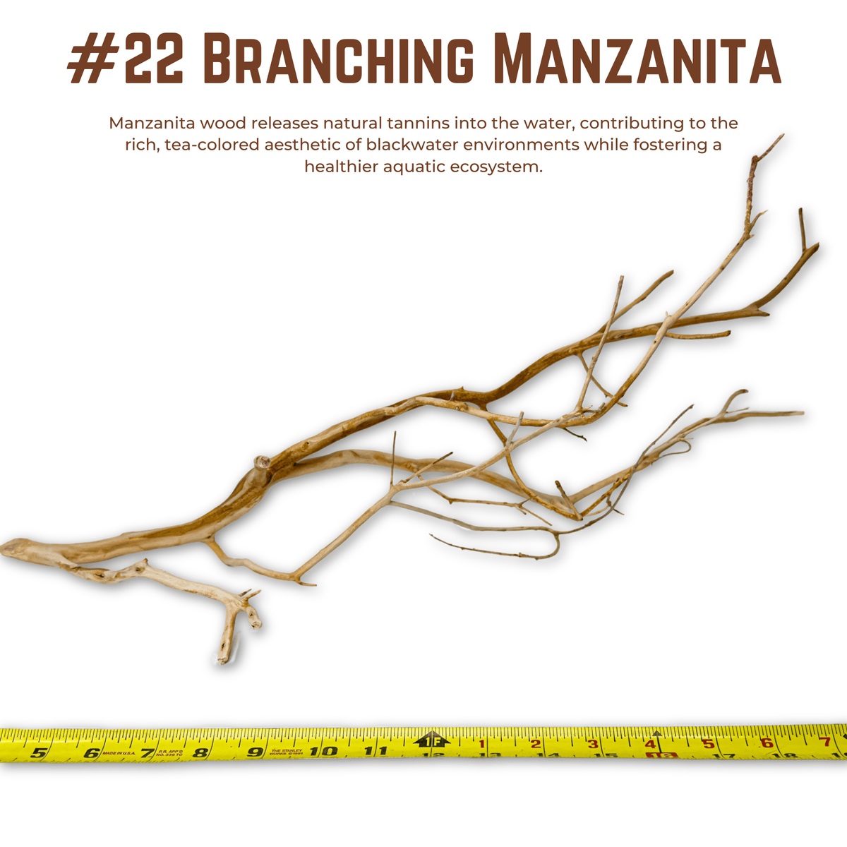 Branching Manzanita | WYSIWYG Pieces