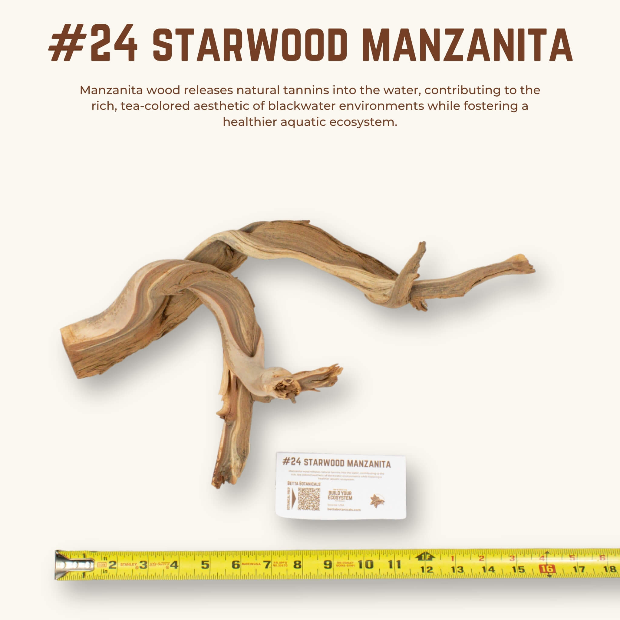 Starwood Manzanita | WYSIWYG Pieces