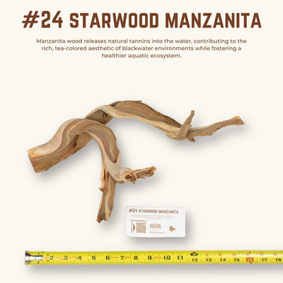 Starwood Manzanita | WYSIWYG Pieces