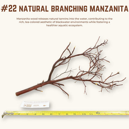 Natural Branching Manzanita | WYSIWYG Pieces