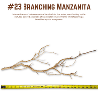 Branching Manzanita | WYSIWYG Pieces