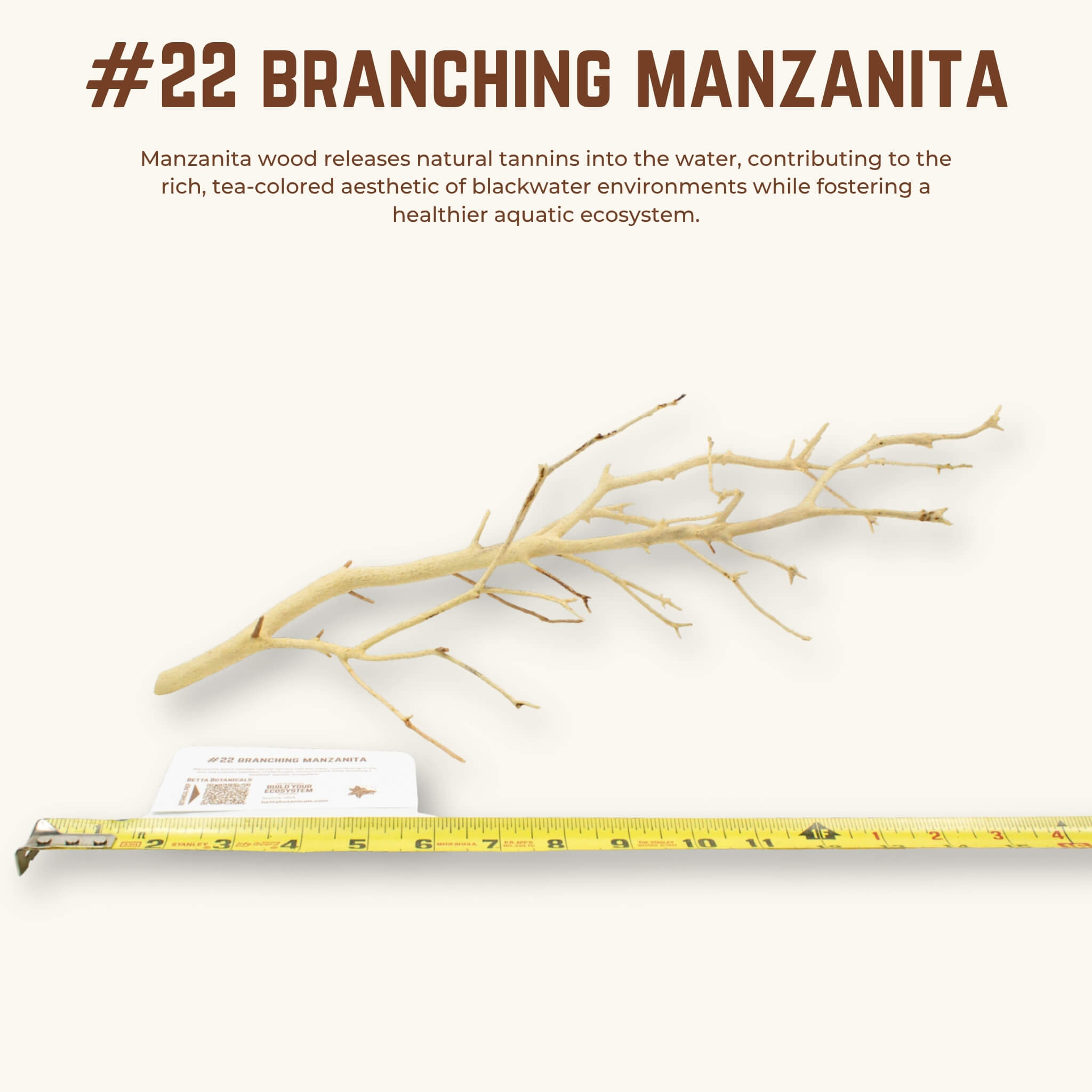 Branching Manzanita | WYSIWYG Pieces