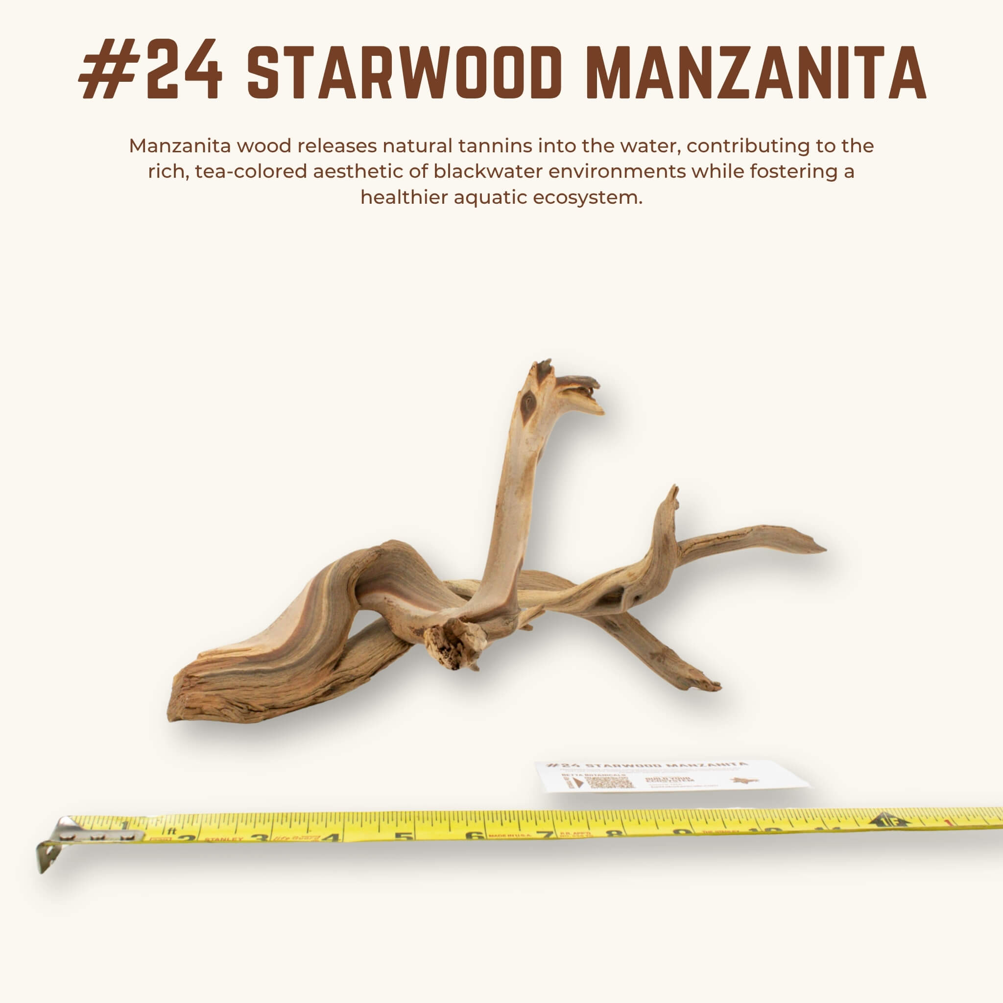 Starwood Manzanita | WYSIWYG Pieces
