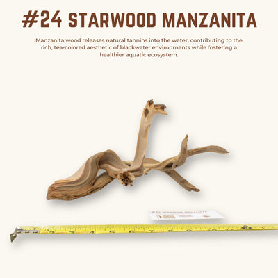 Starwood Manzanita | WYSIWYG Pieces