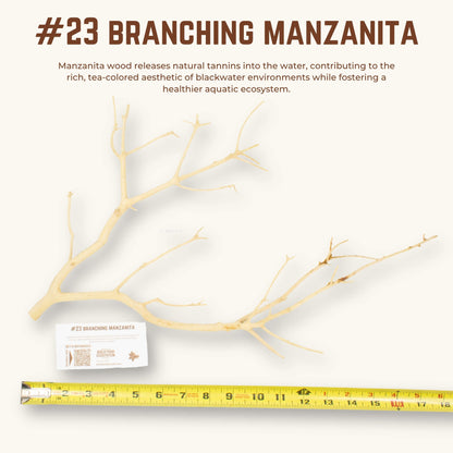 Branching Manzanita | WYSIWYG Pieces