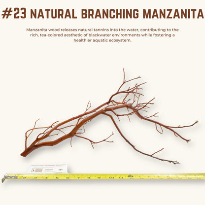 Natural Branching Manzanita | WYSIWYG Pieces