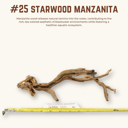 Starwood Manzanita | WYSIWYG Pieces