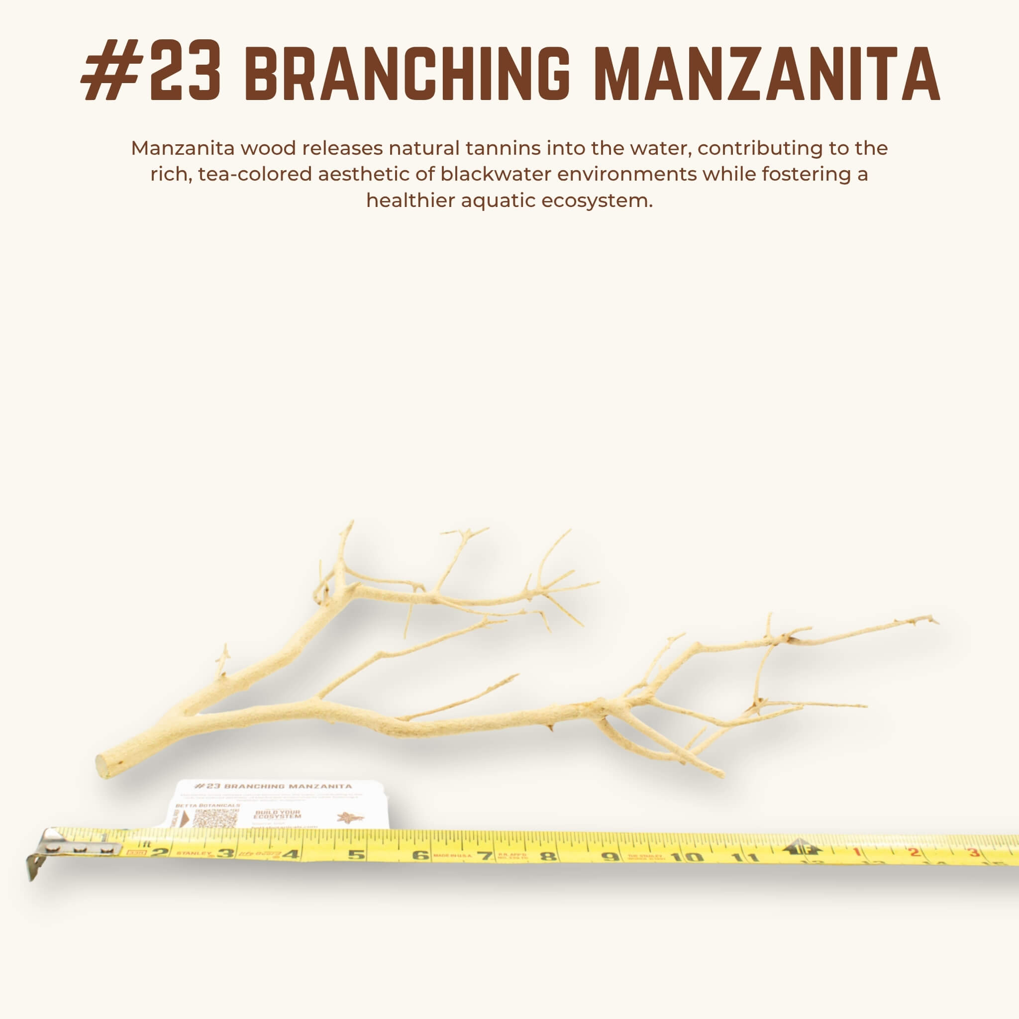 Branching Manzanita | WYSIWYG Pieces