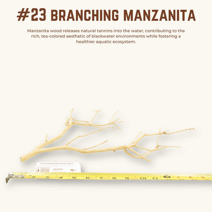 Branching Manzanita | WYSIWYG Pieces