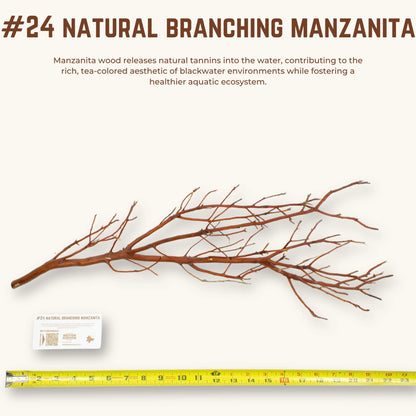 Natural Branching Manzanita | WYSIWYG Pieces