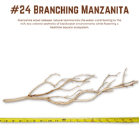 Branching Manzanita | WYSIWYG Pieces