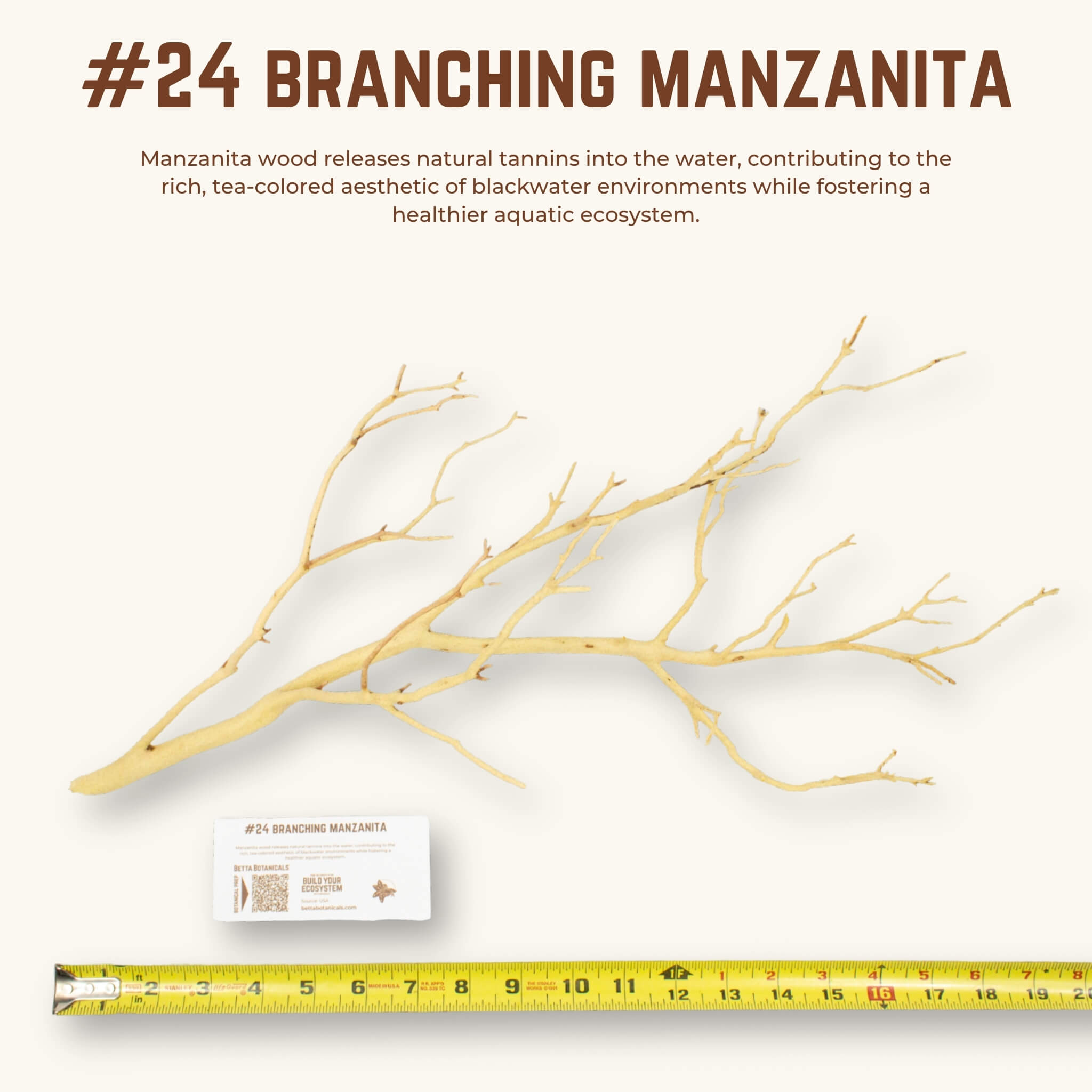 Branching Manzanita | WYSIWYG Pieces