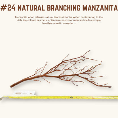 Natural Branching Manzanita | WYSIWYG Pieces