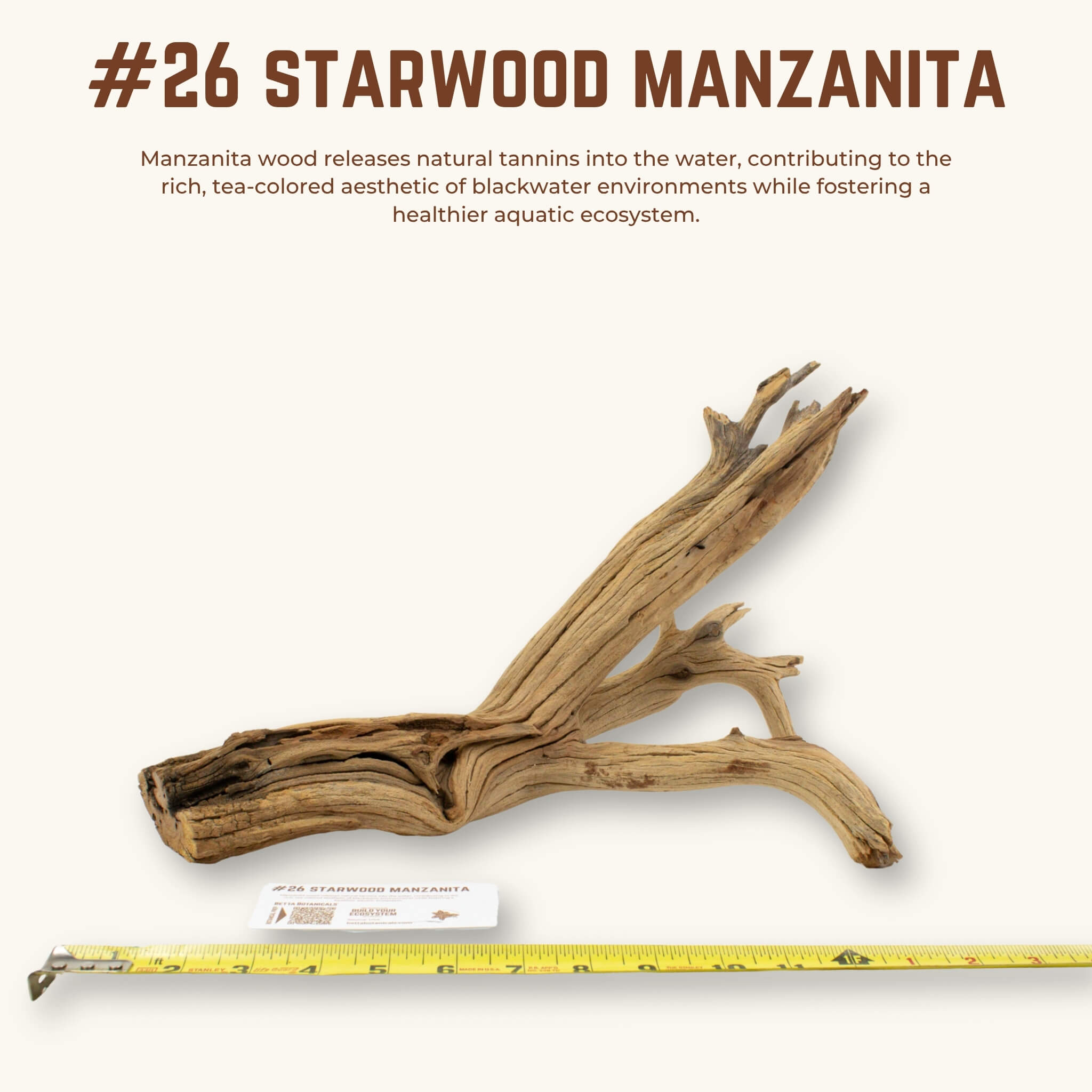 Starwood Manzanita | WYSIWYG Pieces
