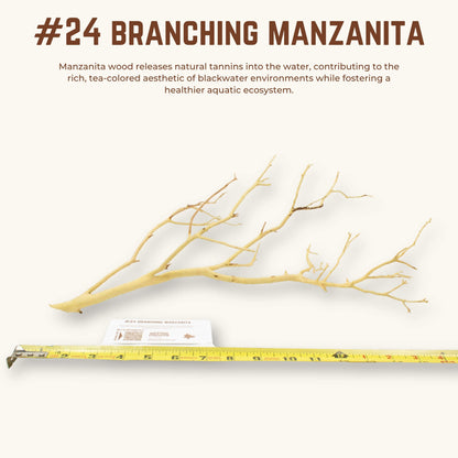 Branching Manzanita | WYSIWYG Pieces