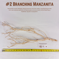 Branching Manzanita | WYSIWYG Pieces