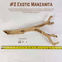 Exotic Manzanita | WYSIWYG Pieces