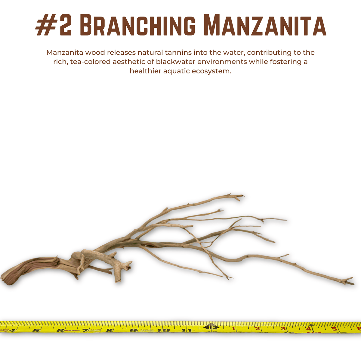 Branching Manzanita | WYSIWYG Pieces