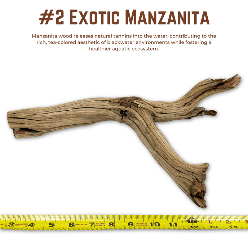 Exotic Manzanita | WYSIWYG Pieces