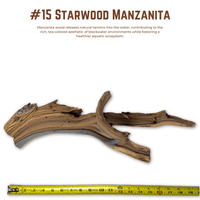 'Starwood' Manzanita | WYSIWYG Pieces