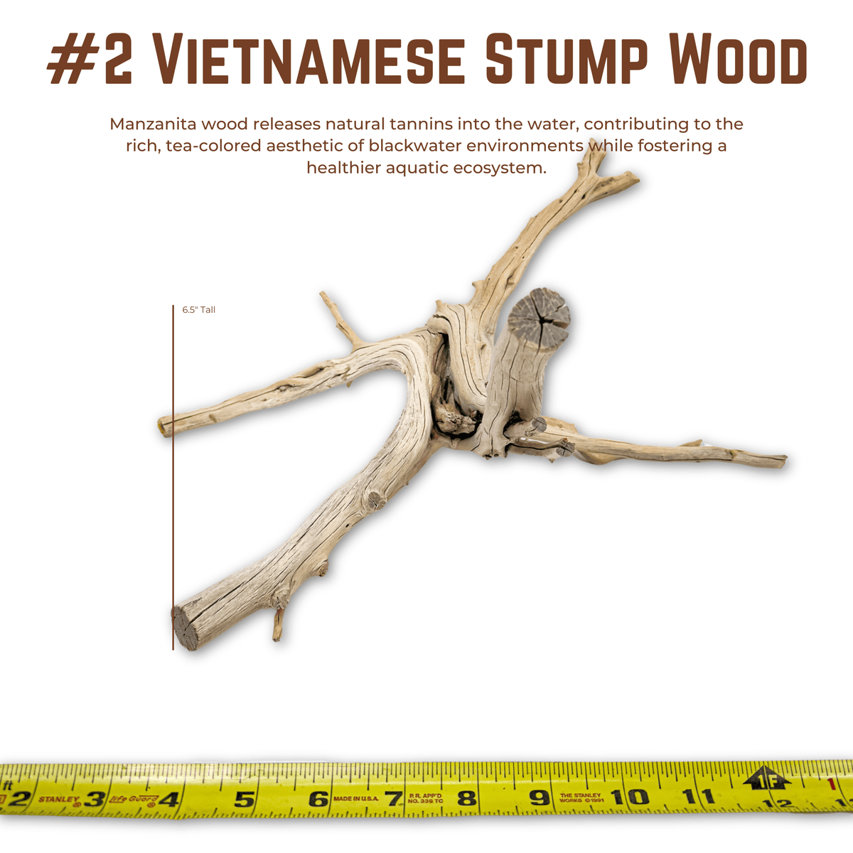 Vietnamese Stump Wood | WYSIWYG Pieces