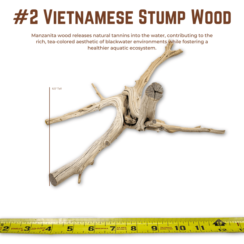 Vietnamese Stump Wood | WYSIWYG Pieces