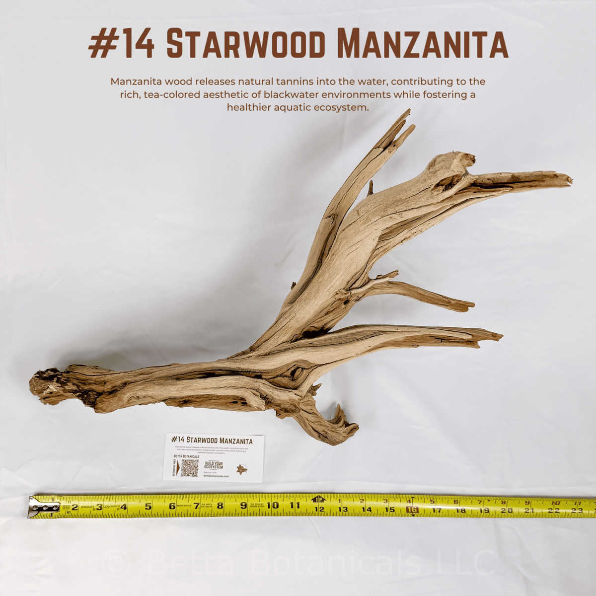 'Starwood' Manzanita | WYSIWYG Pieces