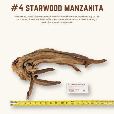 Starwood Manzanita | WYSIWYG Pieces