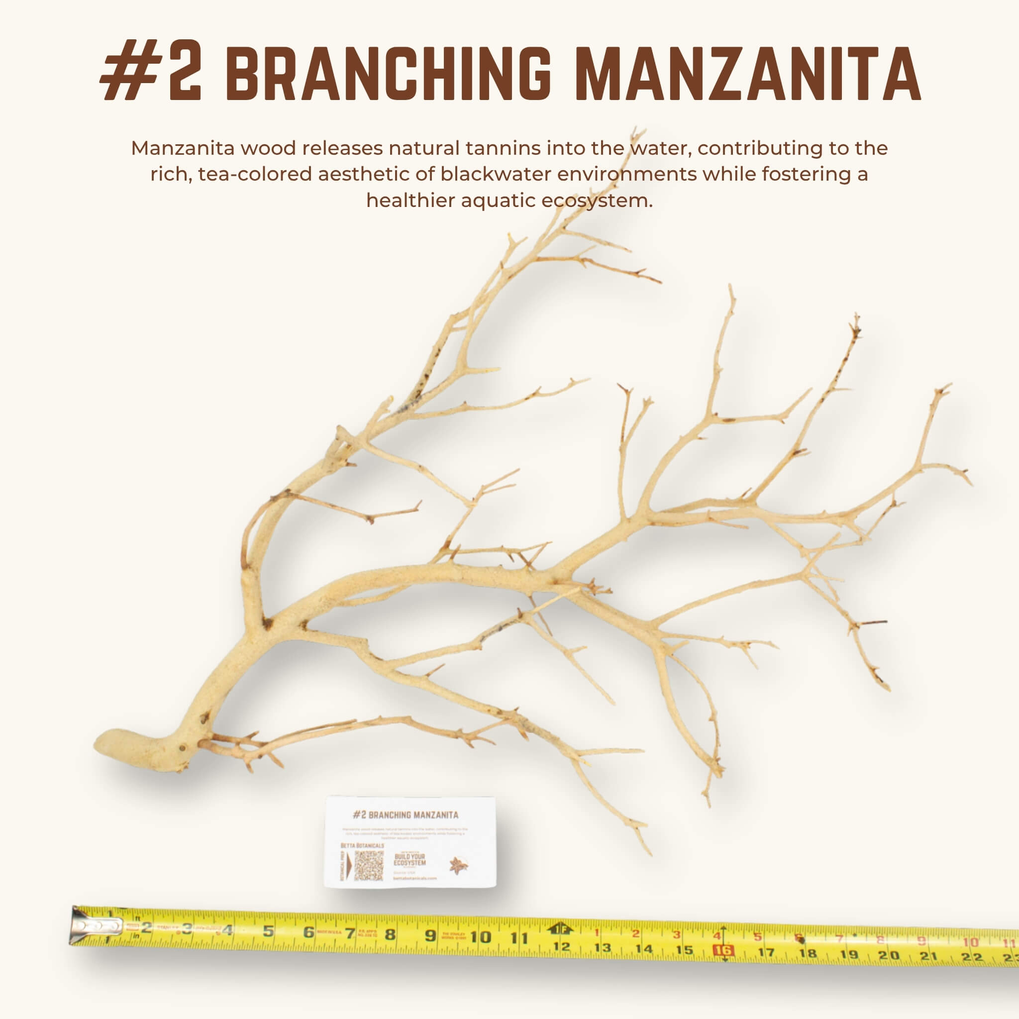 Branching Manzanita | WYSIWYG Pieces