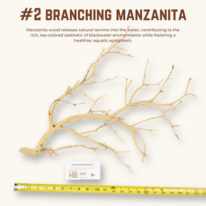 Branching Manzanita | WYSIWYG Pieces