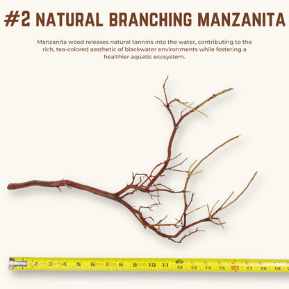 Natural Branching Manzanita | WYSIWYG Pieces