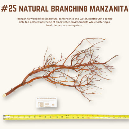 Natural Branching Manzanita | WYSIWYG Pieces