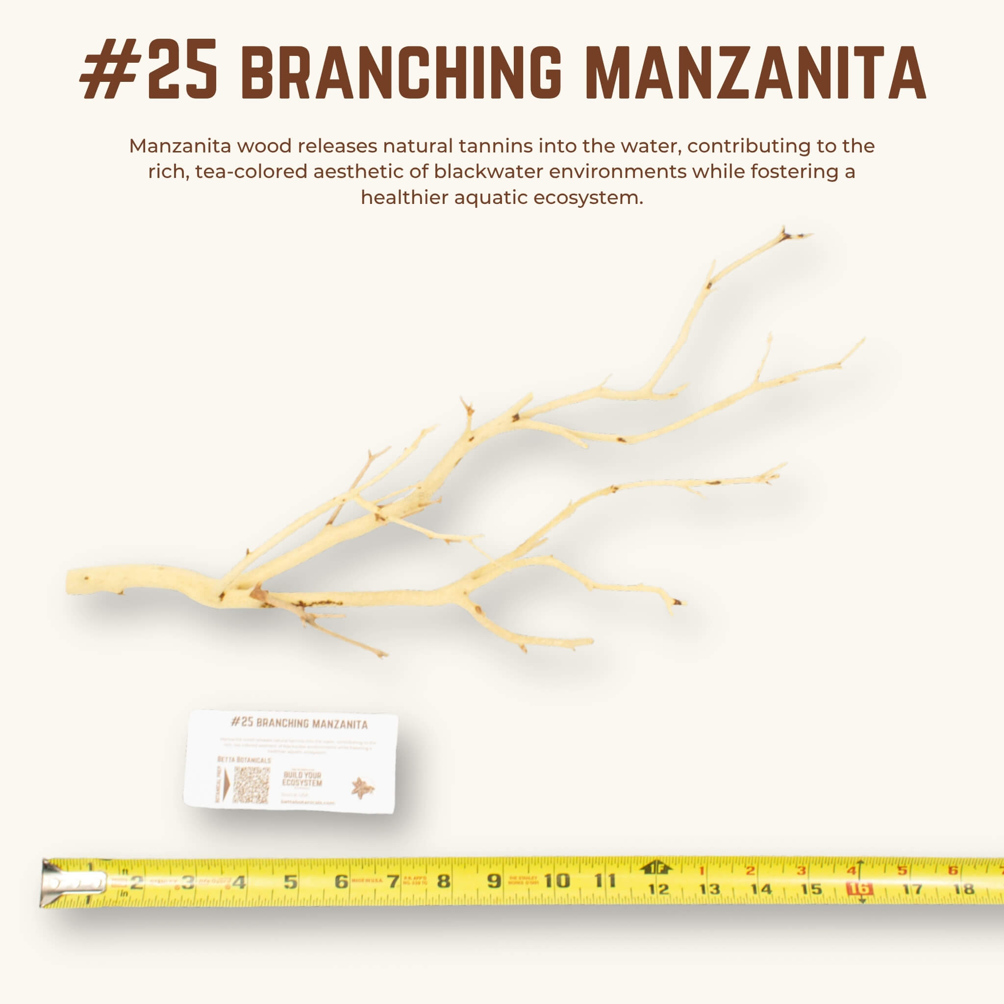 Branching Manzanita | WYSIWYG Pieces