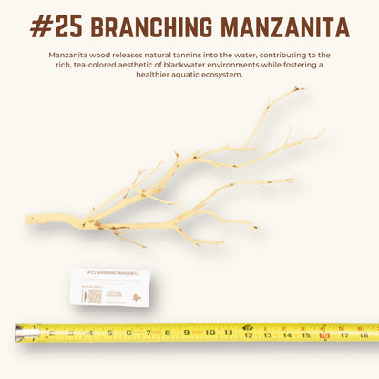 Branching Manzanita | WYSIWYG Pieces