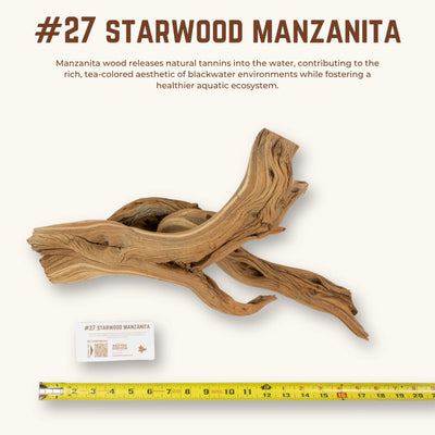 Starwood Manzanita | WYSIWYG Pieces