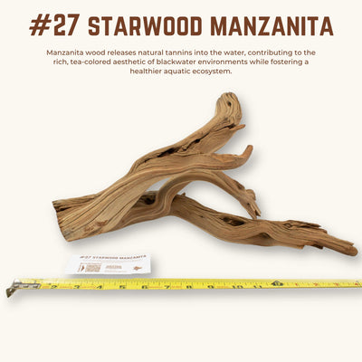 Starwood Manzanita | WYSIWYG Pieces