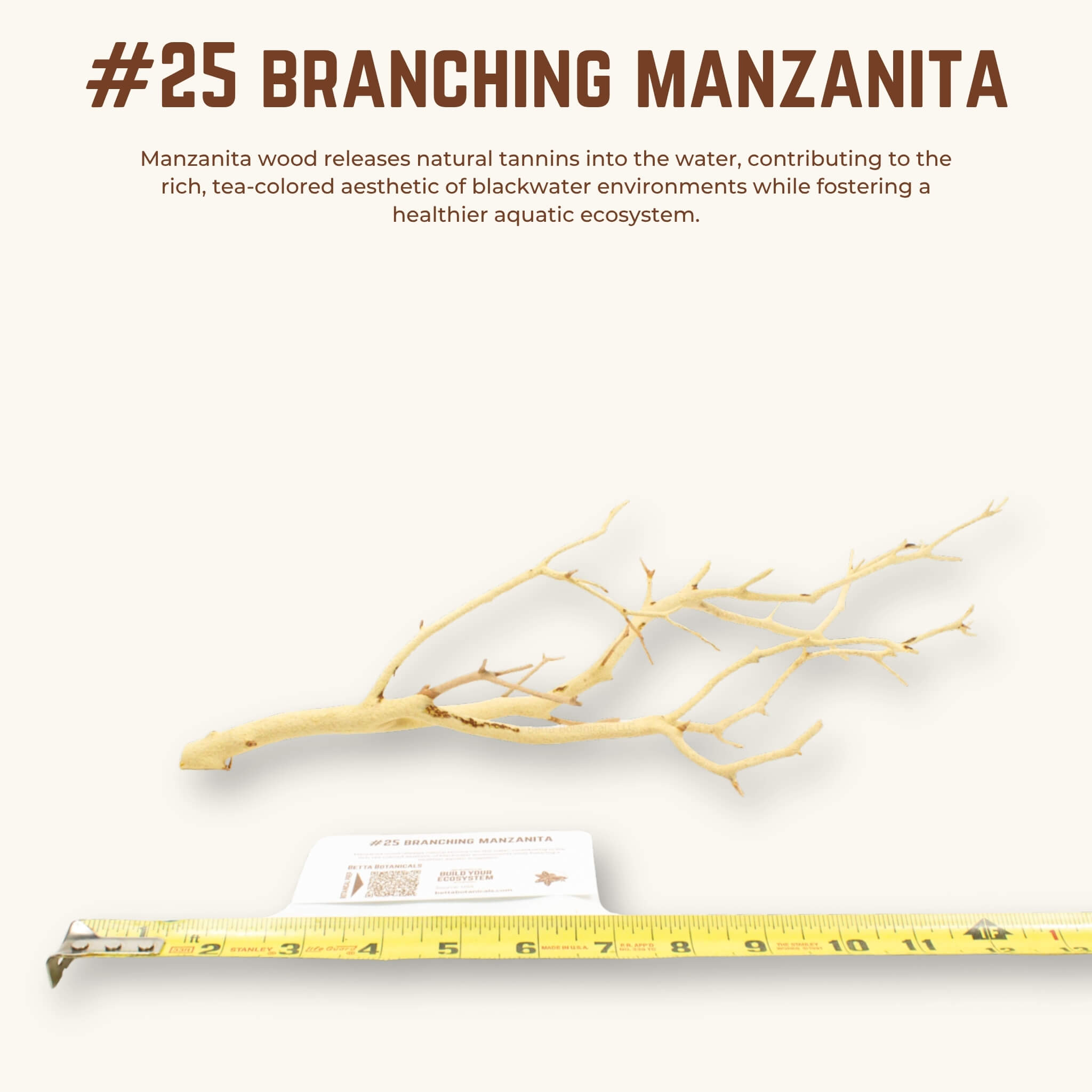 Branching Manzanita | WYSIWYG Pieces