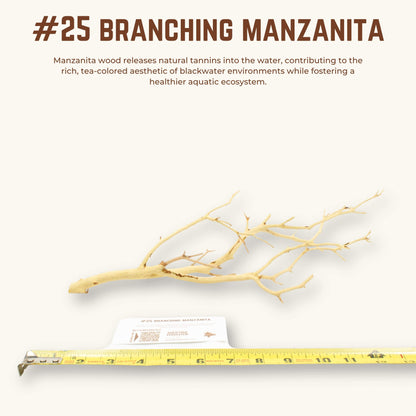 Branching Manzanita | WYSIWYG Pieces