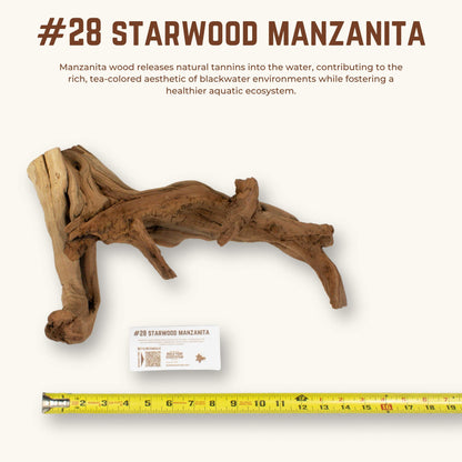 Starwood Manzanita | WYSIWYG Pieces