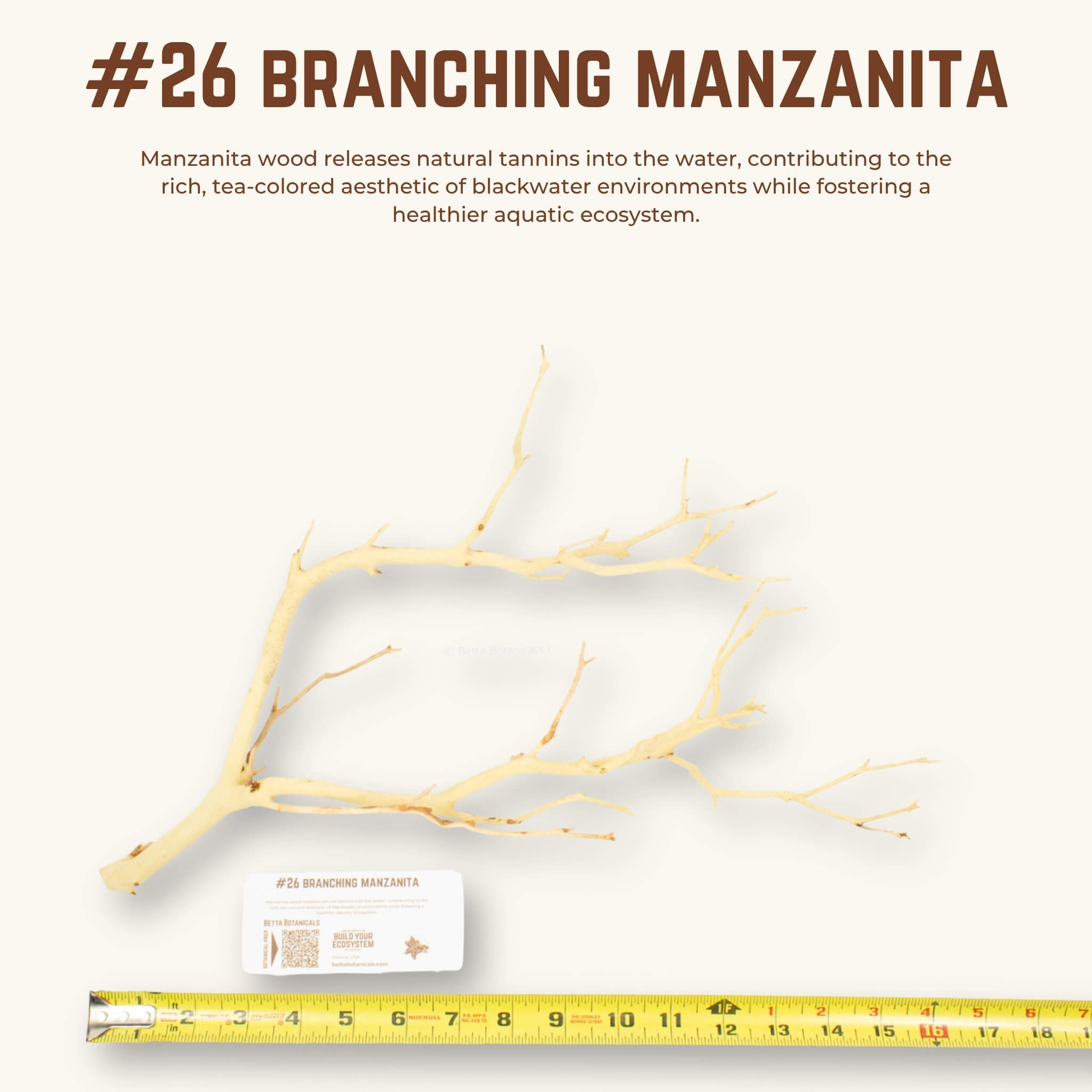 Branching Manzanita | WYSIWYG Pieces