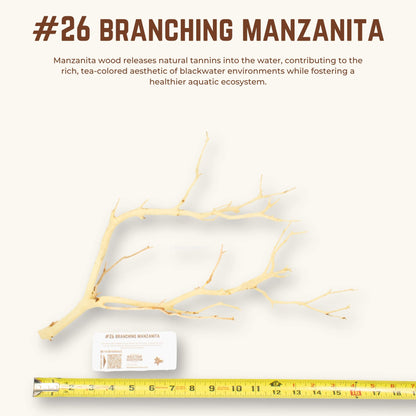 Branching Manzanita | WYSIWYG Pieces